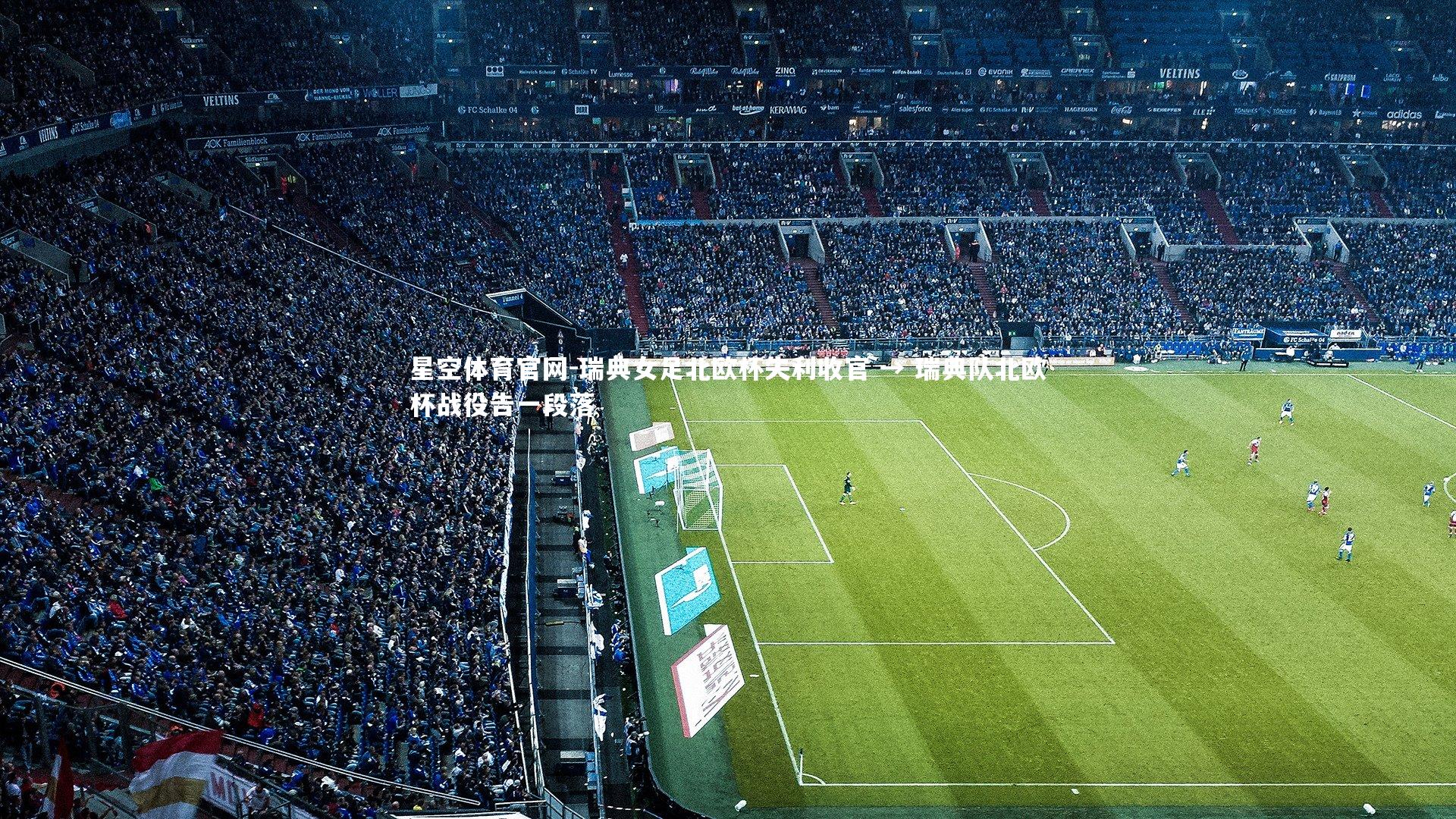 瑞典女足北欧杯失利收官 → 瑞典队北欧杯战役告一段落