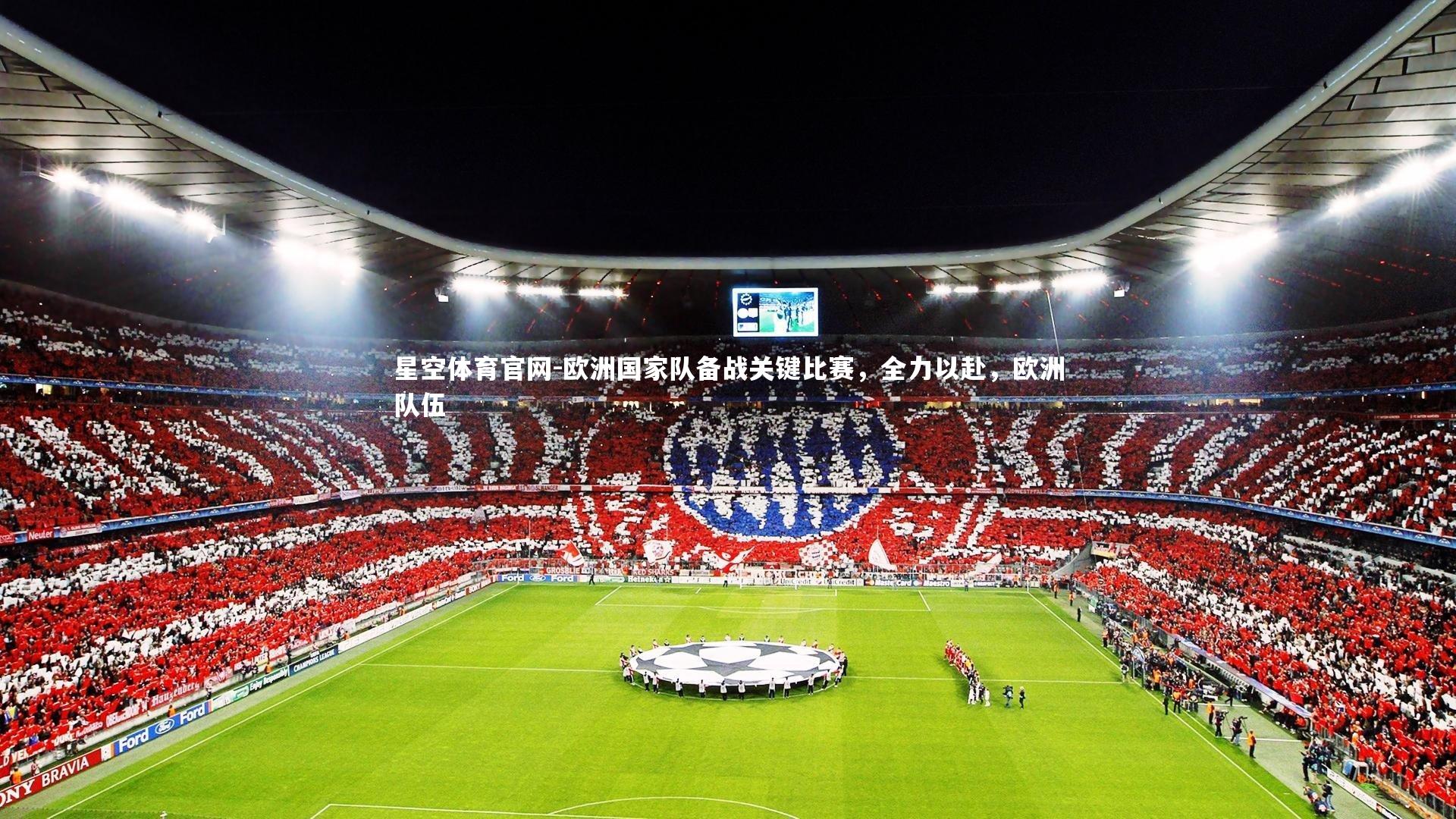 欧洲国家队备战关键比赛,全力以赴,欧洲队伍
