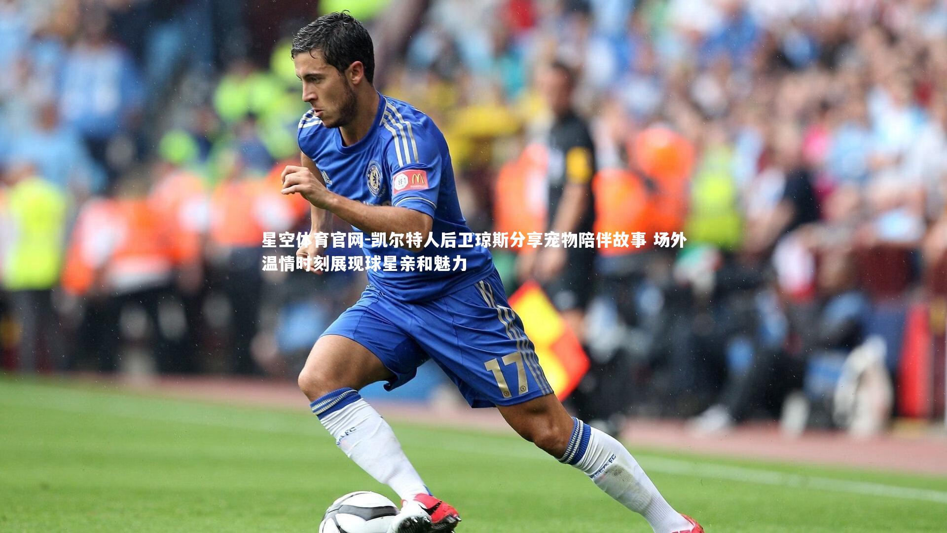 凯尔特人后卫琼斯分享宠物陪伴故事 场外温情时刻展现球星亲和魅力